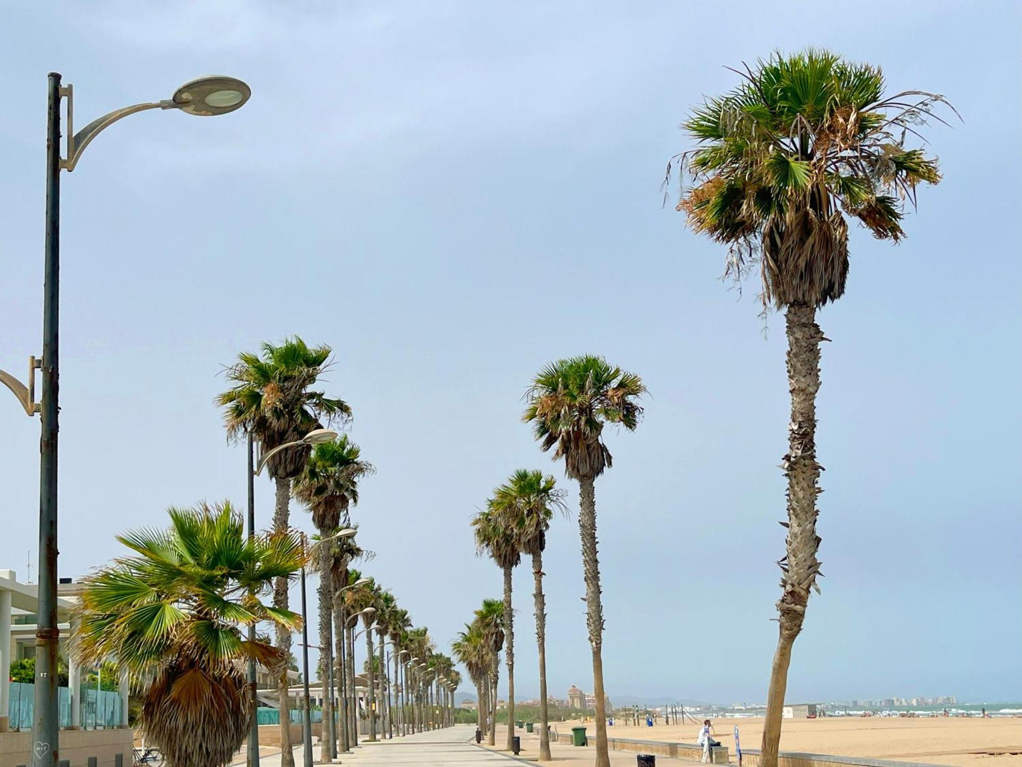 Stylish Well-Connected Beachfront Flat Valencia Eksteriør bilde